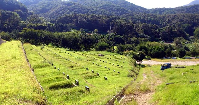 충현동산